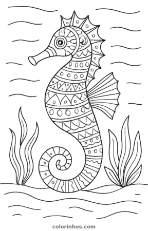Cavalo-marinho, desenho em preto e branco para colorir
