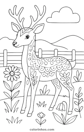 Cervo, desenho em preto e branco para colorir