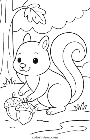 Esquilo com bolotas, desenho em preto e branco para colorir