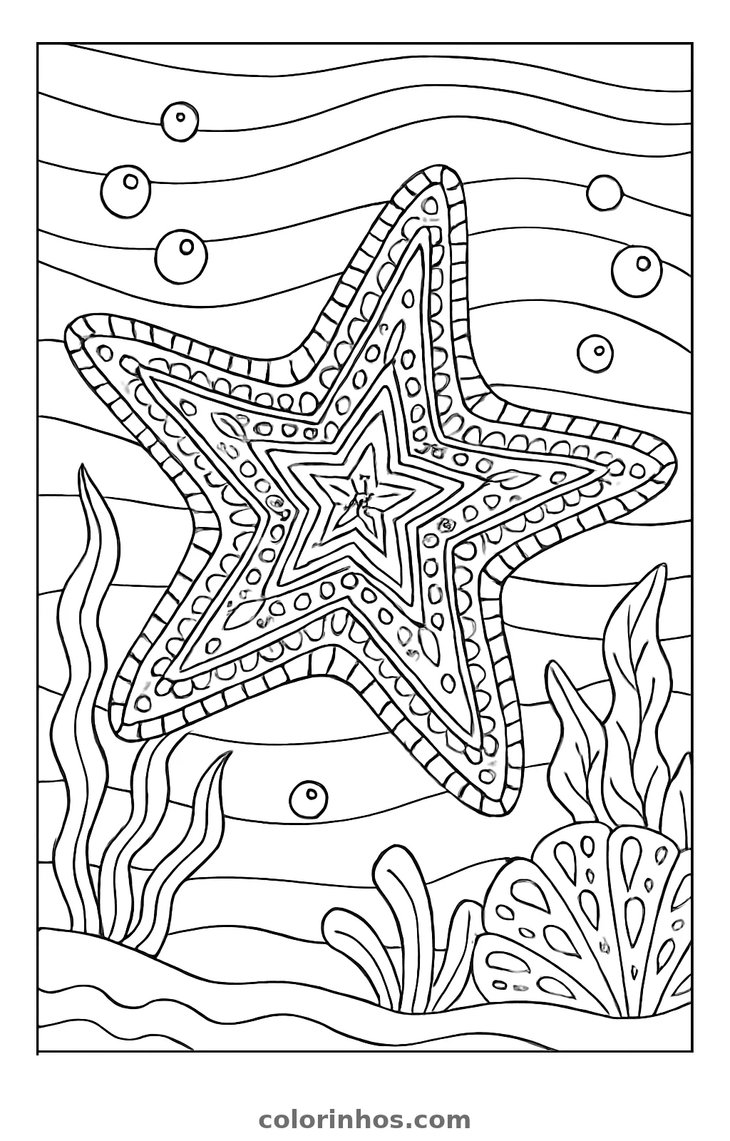 Estrela-do-mar cheia de enfeites concêntricos entre algas, bolhas e uma concha, desenho para colorir