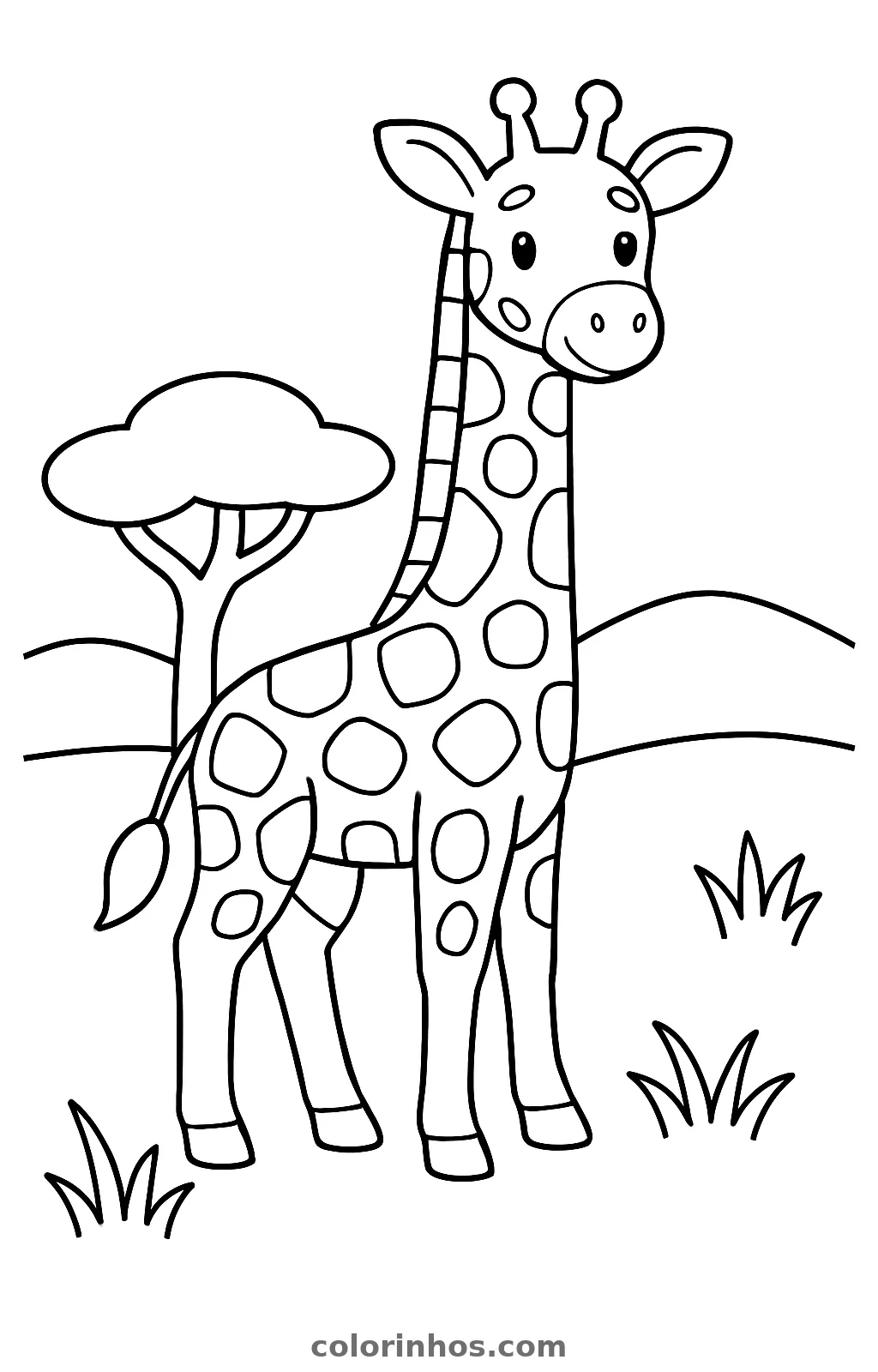 Girafa de corpo inteiro com manchas ao lado de uma árvore de copa achatada e dois morros, desenho para colorir
