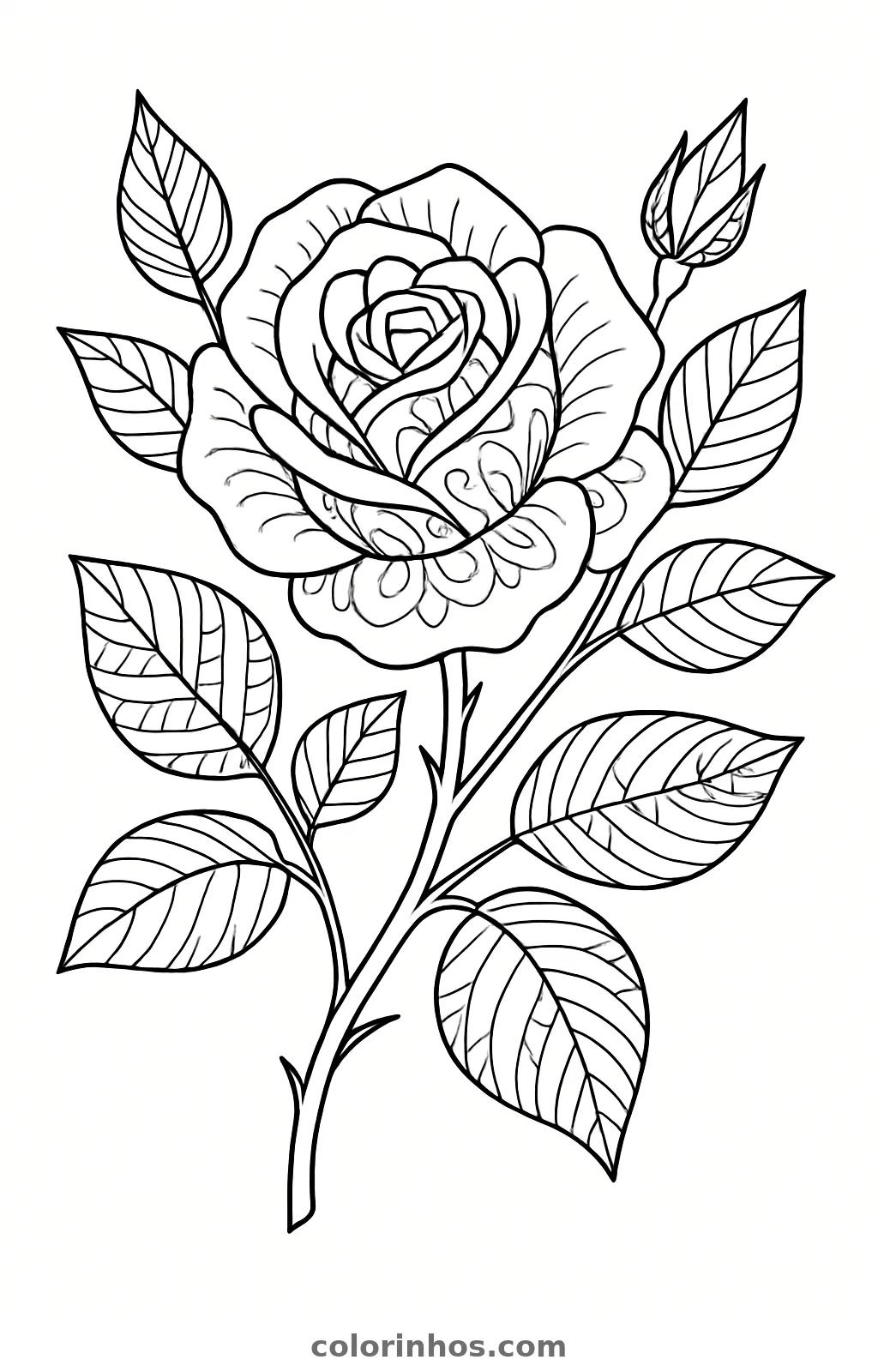 Rosa, desenho em preto e branco para colorir