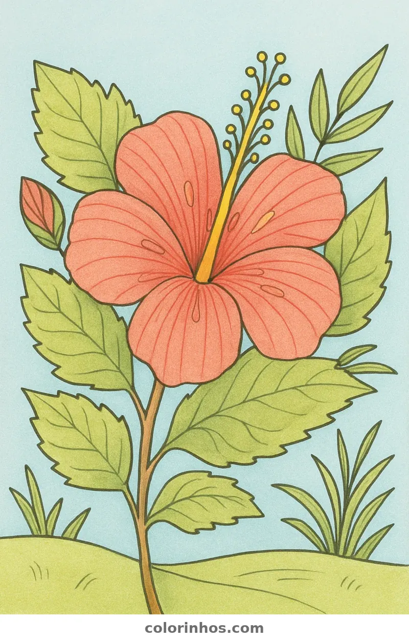 Exemplo colorido: Hibisco